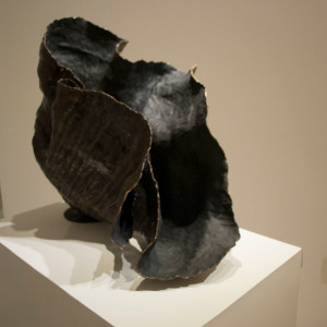 Galería Piel Gracil 2017